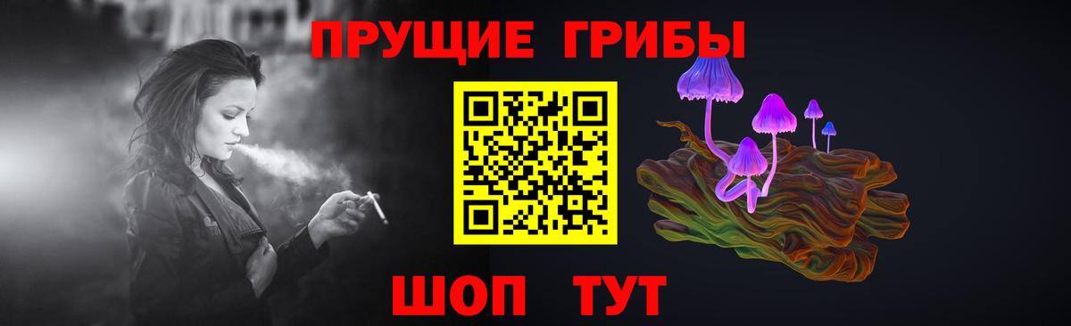 Псилоцибиновые грибы мухоморы Брянск